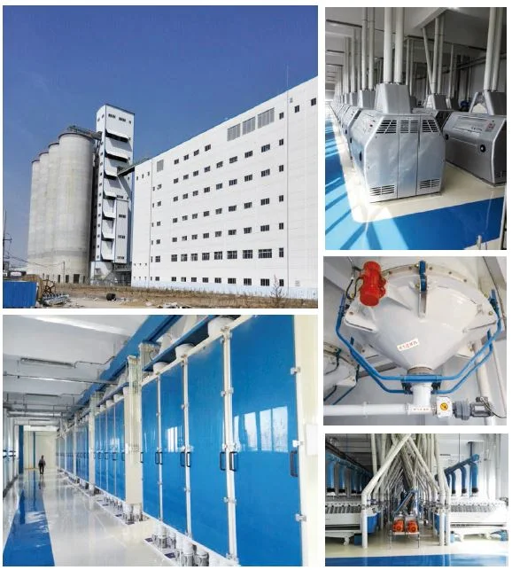 All Types Prefabricated Parts, Diverter for Rice Milling Machine Rice Bucket Elevator, White Rice Chain Conveyor